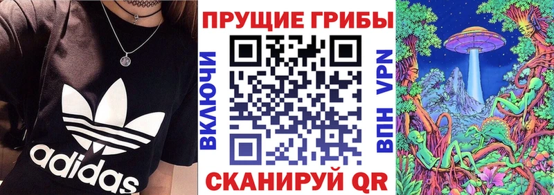 Псилоцибиновые грибы ЛСД  omg зеркало  Пудож 